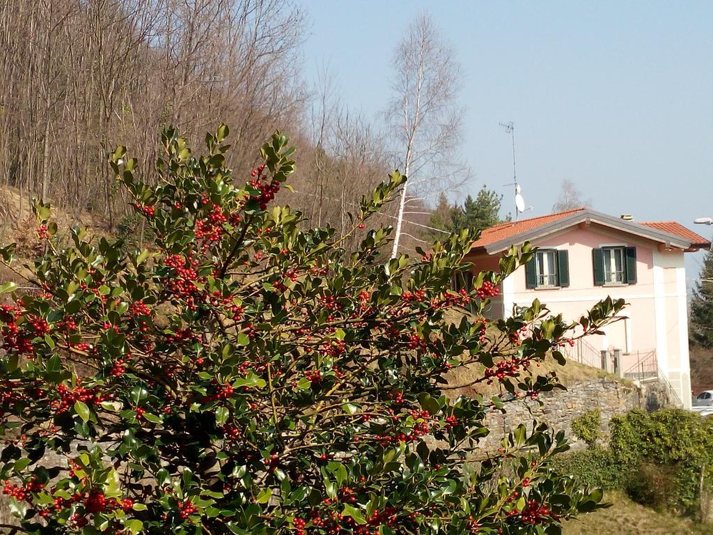 La Villa Morandi 马兹奥 外观 照片